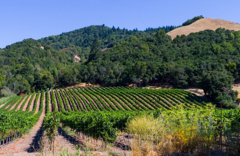 Best Tub To Shower Conversion pros in San Rafael, CA